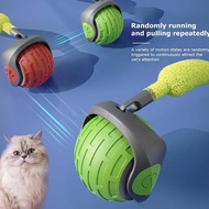 Interactive Cat Toys Ball With Cat Teaser For Indoor Cats Fast Rolling On Carpet Chirping & K4n2
