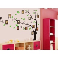 ✴ WALL STICKER/WALL STICKER TRANS 60X90-AY803B-BLACK TREE WITH FRAME ❀