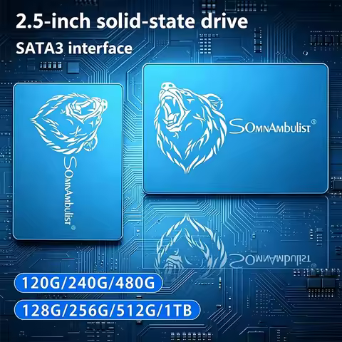 SOMNAMBULIST 2.5 Inch SATA SSD – 120G/240G/480G/1TB High Capacity Solid State Drive, Internal HDD Re