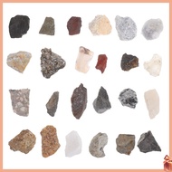 24 Pcs Mineral Identification Kit Irregular Stone Ornament Geology for Kids Decor dliyuanai