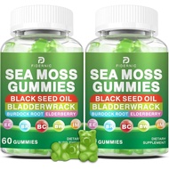 Seaweed Jelly-Contains Irish Seaweed, Black Seed Oil, Kelp, Burdock Root, Used for Immune Support an