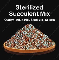 Sterilized Succulent Mix / Germination Soil/ Cactus Soil / Pumice / Vermiculite / Potting Mix / Rainbow Mix