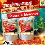 [ 2 แถม 2 ] สาหร่ายทะเล (ผง) ดร.เอก พรีเมี่ยมเข้มข้น x5 เท่า!! สำหรับพืช  กระตุ้นการเจริญเติบโต การแ