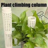 White Interlocking Peat Moss Poles, Plastic Climbing Plant Support Trellis, Easy To Assemble, Suitab