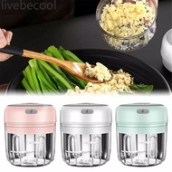 Electric Garlic Masher Durable Mini Crusher Chopper USB charging baby food supplement machine cooking machine electric garlic mixer garlic chopper