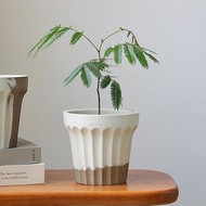 Glaze-Free Cream Cake Pottery Pot Bowl Potware Nordic Style ins Muji Small Flower Agave Succulent Fo