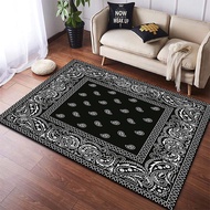 Multicolor Bandana Pattern Area Rugs Carpet Runners Area Rug Washroom Floor Mat Rugs for Bedroom Car