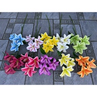 Rubber cup branch with 3 large, even flowers