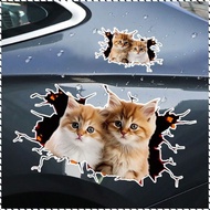 Cat in The Crack Sticker, 3D Cat Universal Car 3D Cat Stickers, Decals Animal