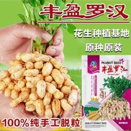 余記丶花生種籽高產小果國審羅漢花生種子 可食用春季夏季早熟菜種籽種孑