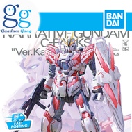 MG Narrative Gundam C-Packs C Packs [Gundam Gang]