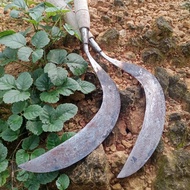 Arit Rumput baja Isen. Madura