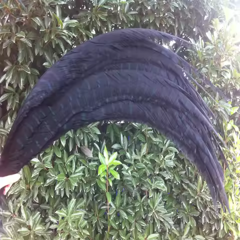 10 pcs/lot 32-36inch/80-90cm Black Lady Amherst Pheasant feather for Home Decoration,Wedding Party D