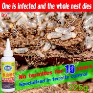 One infected whole nest died termite killer powder (ANAY)75g bait repellent gel killing insect repel