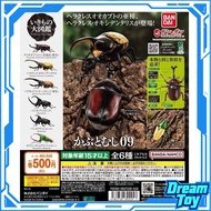 Bandai Capsule Toy Large Biological Encyclopedia Beetle09 Big-pocketed beetle Short-horned rhinocero