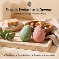 Inroots Organic Konjac Facial Sponge