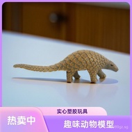 Scientific education cognitive physical toys, desktop static ornaments, decorations, realistic simul