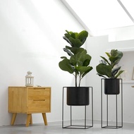 READY STOCK READY STOCK Artificial Ficus Lyrata Fiddle-Leaf Fig Tree
