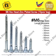 M6 Zink Plate Hex Lag Wood Screw Hexagon Lag Screw Din Screw