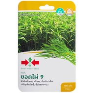 Morning Glory Seeds Bamboo Shoots 9 Red Arrow Brand