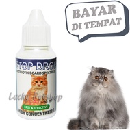 Cat Medicine KITTEN Sick STOP DROP Antibiotics