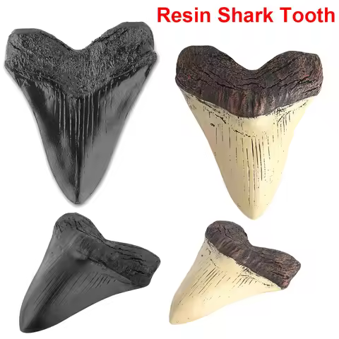 5inch Giant Megalodon Tooth Easy Clean Shark Tooth Replica Marine Bology Teaching Props Shark Teeth