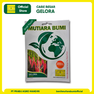 Benih Cabe Besar Gelora OP Small Pouch (Kemasan Kecil) Isi 300 biji Mutiara Bumi