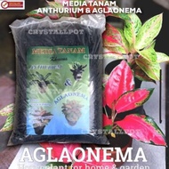 Ready Media Tanam Khusus Anthurium &amp; Aglaonema (Repack Kemasan Plastik