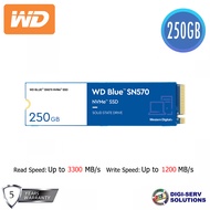 WD Blue SN570 250GB NVMe SSD (WDS250G3B0C)