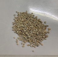 Golden Yellow Stone G8 1kg