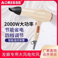 Hair Salon High-Speed Hair Dryer High-Power Hair Care Quick-Dry Constant Temperature Hair Dryer2000W