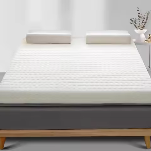 100x200 120x200 150x200 180x200 200x220 Cm Modern Luxury Latex Mattress Sleeping Mats Memory Foam To