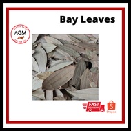 AGM DAUN SALAM READY STOCK