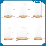 [direrxa] Glass Display Dome + LED Wooden Base, Decorative Clear Glass Cloche Bell Jars Display Dome for Gifts Decor