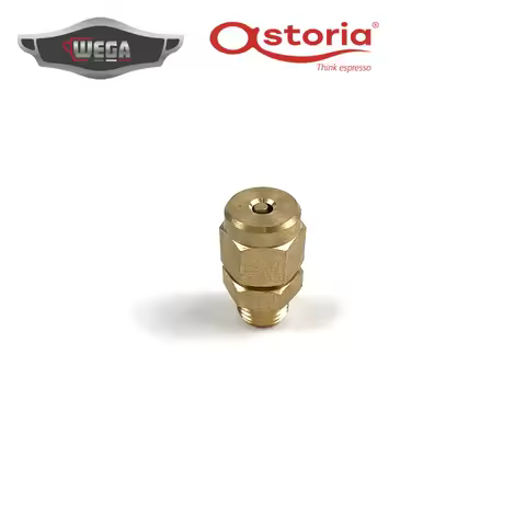 Italy Made Boiler Vacuum Valve Exhaust Valve Accessories for WEGA/ASTORIA Coffee Machine High-Qualit