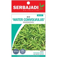 SERBAJADI WATER CONVULOS SEEDS - KANGKONG (BBS022) / Vegetable seed / Benih Sayur 种子🌱🌱