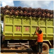 4m x 6m thick palm oil truck net, 6mm rope, 20cm x 20cm hole, cargo net, palm truck cover net