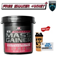 M16 Mass Gainer by BS Nutrition 12 lbs/5.4 kg + (Free 2 Gift), weight gain, recovery, on mass, bulki