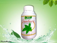 Sambong Capsule Natural Food Supplement 100 Capsules X 500 mg