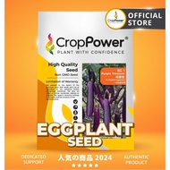 (10 GRAM) Biji Benih Terung Panjang Purple Treasure 传家宝 EG1 CROP POWER F1 Hybrid Long Eggplant Seeds