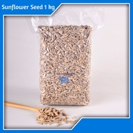 MATAHARI Sunflower Seed Raw 1 kg Raw Sunflower Seed/ Sunflower Seed 1 kg