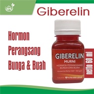 Hormone Accelerates Flowering and Fruiting - Gibberellin Hormone 60ml