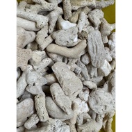 Coral Chips 1 kg in net bag for Aquarium and filtration