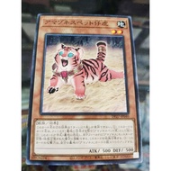 游戏王 YUGIOH DP18-JP009 DP27-JP040  Amazoness Baby Tiger  N