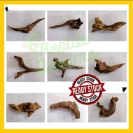 Premium Shapes Size S, M & L Driftwood Spider Wood/Driftwood for Aquarium/Azalea/Aquascape Wood