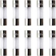 SIXQJZML 10 Pack F10AL Fast-Blow Fuse 10A 250V Glass Fuses 0.2 x 0.78 inch / 5 x 20 mm (10amp) (F10A