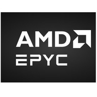 AMD EPYC™ 9845 2.10GHz 160 Core Processor, 160C/320T, 320M Cache, (390W) DDR5-6400