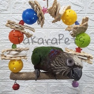 Parrot Swing with Cuttlefish Bone