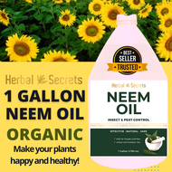 🌻Herbal Secrets 1 GALLON 4000mL 4 Liters , NEEM OIL ORGANIC PESTICIDE FOR PLANTS, Neem Oil, Termite 