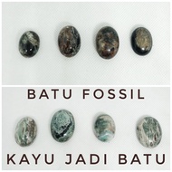 BATU FOSSIL LUMUT